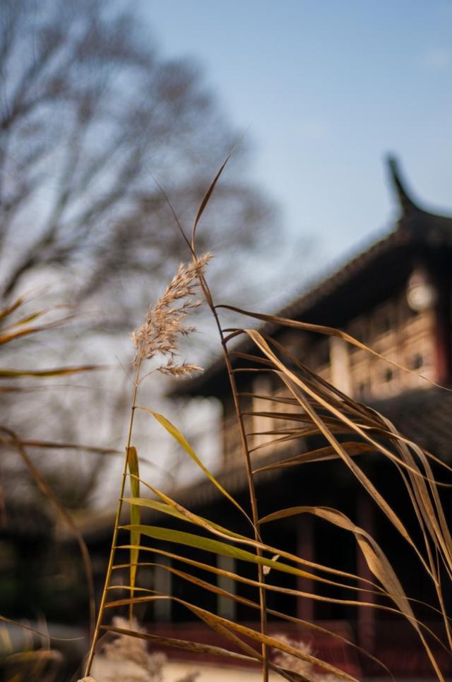 ayx官方网站
