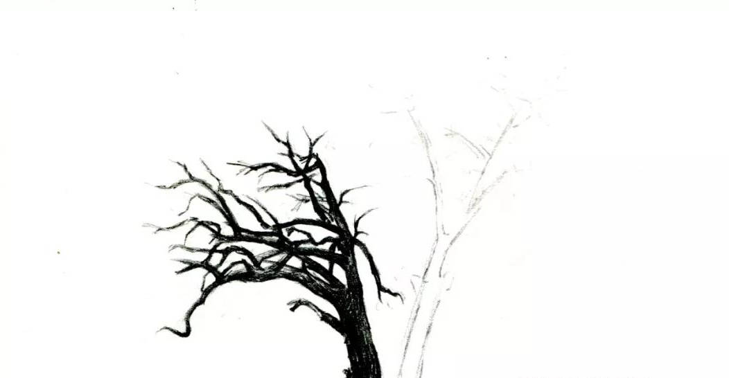 
【推荐】手绘教程低级自学|爱游戏（ayx）中国官方网站(图4)