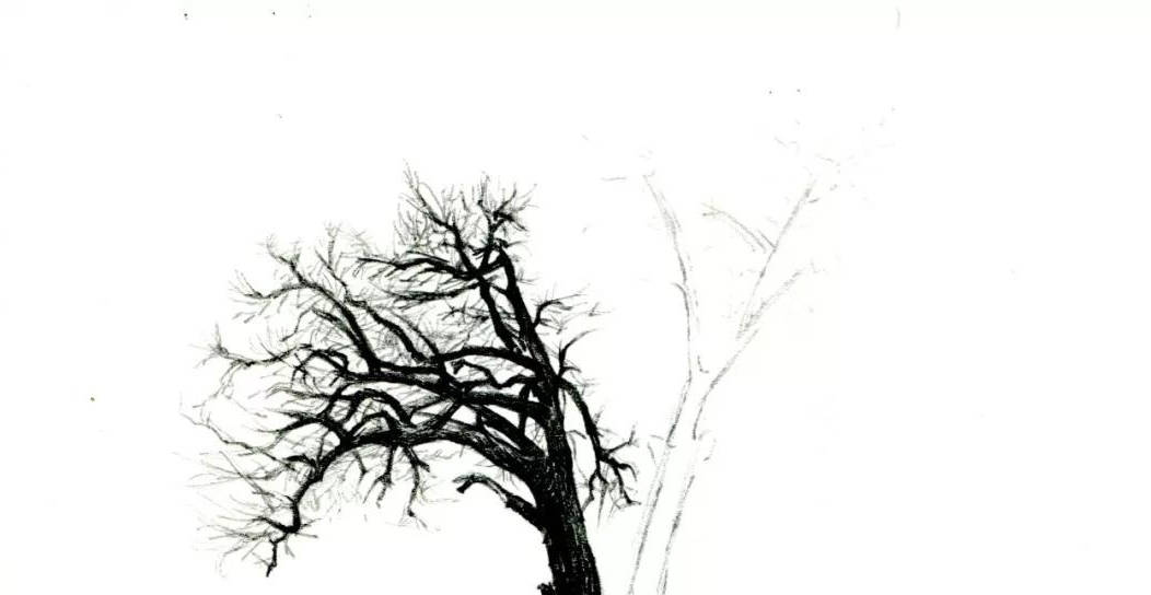 
【推荐】手绘教程低级自学|爱游戏（ayx）中国官方网站(图5)