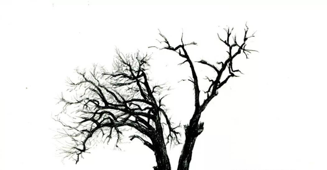 
【推荐】手绘教程低级自学|爱游戏（ayx）中国官方网站(图6)