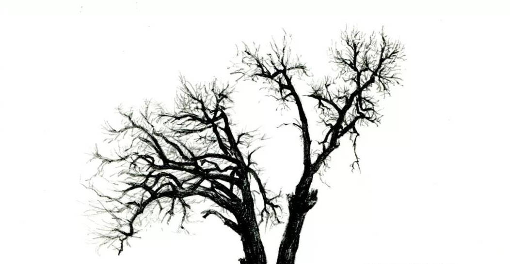 
【推荐】手绘教程低级自学|爱游戏（ayx）中国官方网站(图8)