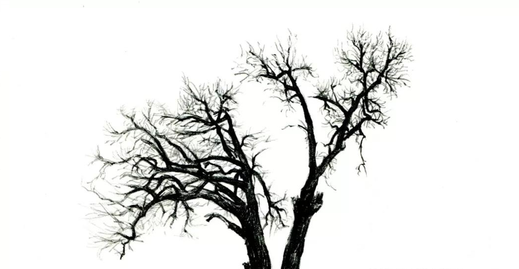 
【推荐】手绘教程低级自学|爱游戏（ayx）中国官方网站(图9)