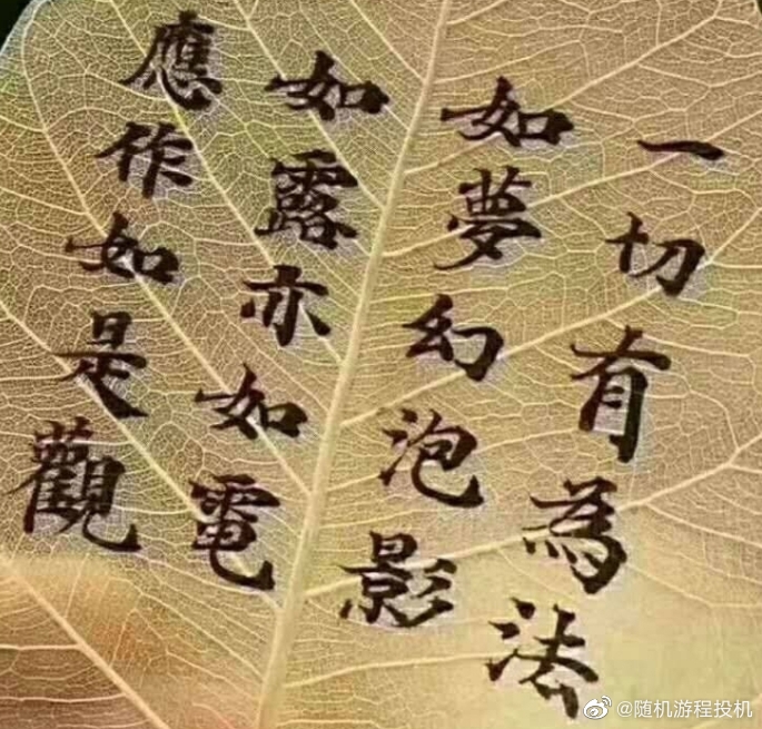 ayx官方网站：释教中按数字排序的基本观点(图10)