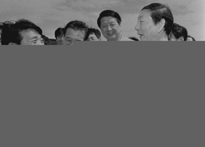 ayx官方网站