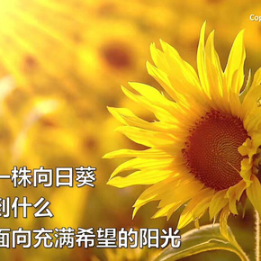 爱游戏（ayx）中国官方网站