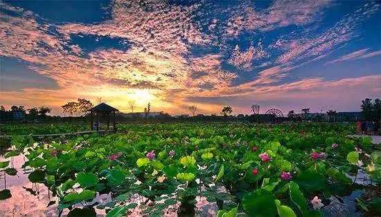 爱游戏（ayx）中国官方网站