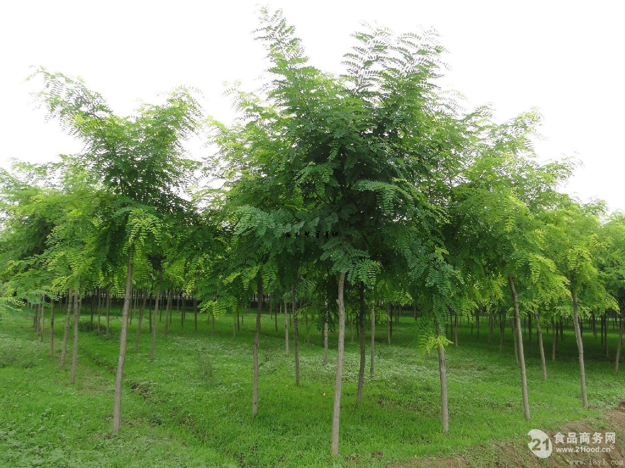 欧冠女排第一场半决赛竣事！土超权门遭意超冠军横扫‘ayx官方网站’