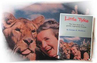 2016赛季世界一级方程式赛车锦标赛 罗斯伯格加冕年度总冠军-ayx官方网站