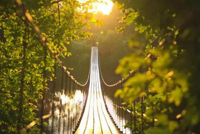 张继科扣杀失误摔球拍遭黄牌警告 上月才踢坏广告牌‘爱游戏（ayx）中国官方网站’