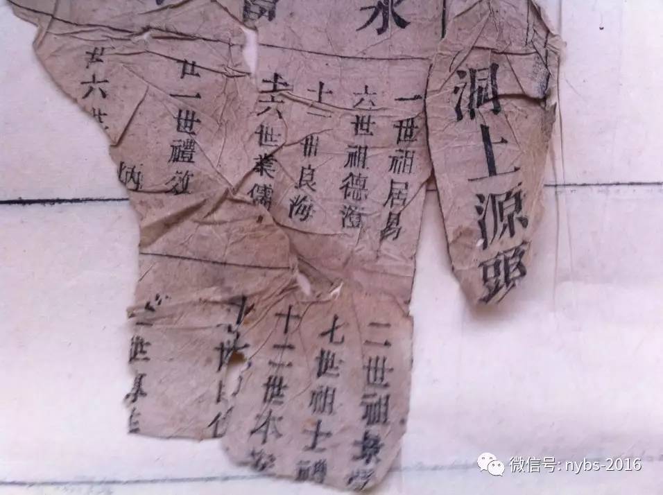 爱游戏（ayx）中国官方网站-海洋生态环境司举全司之力打好渤海综合治理攻坚战