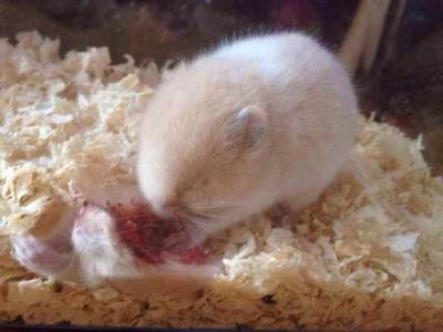 爱游戏（ayx）中国官方网站