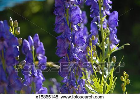 ayx官网：勇士轻取湖人 三巨头78分易建联出战12分钟砍4+2