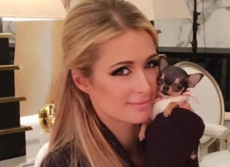 卡洛斯：02欧冠决赛助攻齐祖前，索拉里给我的传球很糟‘ayx官方网站’