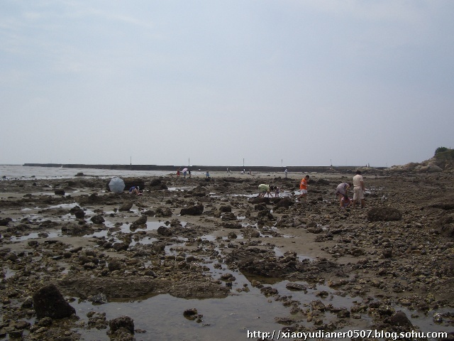 爱游戏（ayx）中国官方网站