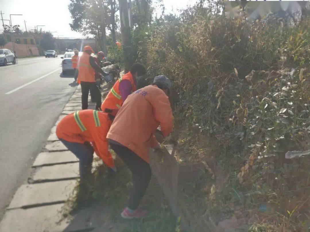 【爱游戏（ayx）中国官方网站】
创文守卫不停步 文明新区更靓丽(11月7日)(图4)