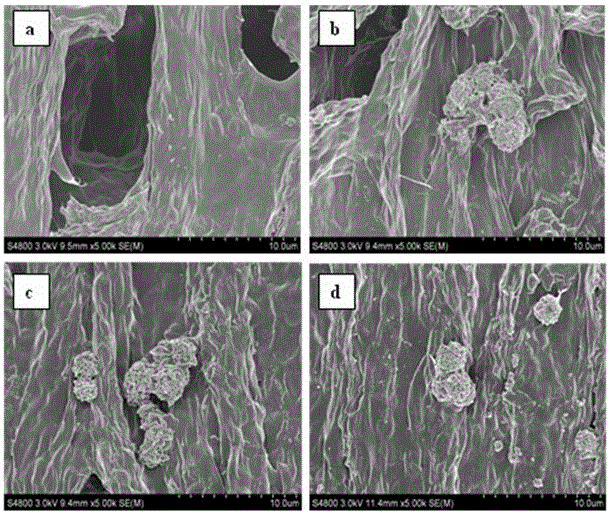 爱游戏（ayx）中国官方网站
