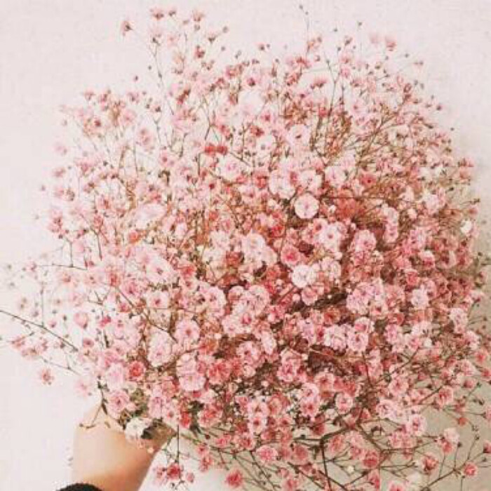 ayx官方网站_为什么干环保会毁一生？