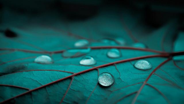 “ayx官网”
女人在乎你会有这三个表示(图2)