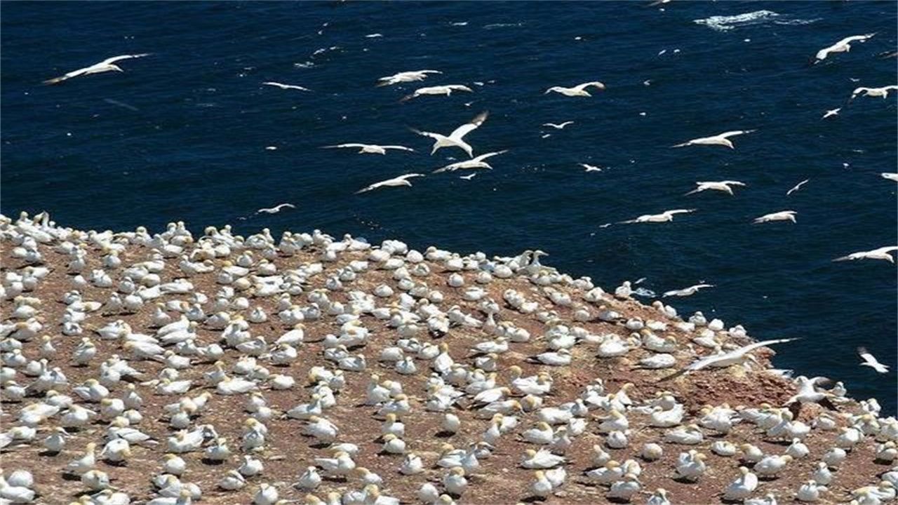 【ayx官方网站】
羞耻的欧洲第5联赛！到场欧战6队已淘汰2支 恐全军淹没