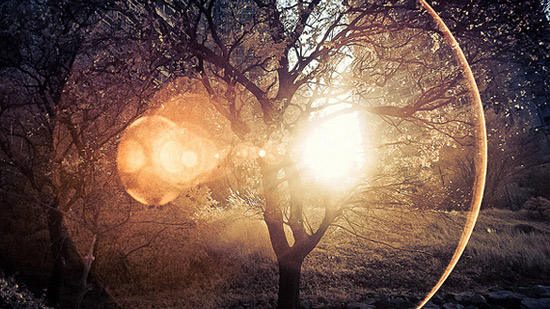 爱游戏（ayx）中国官方网站