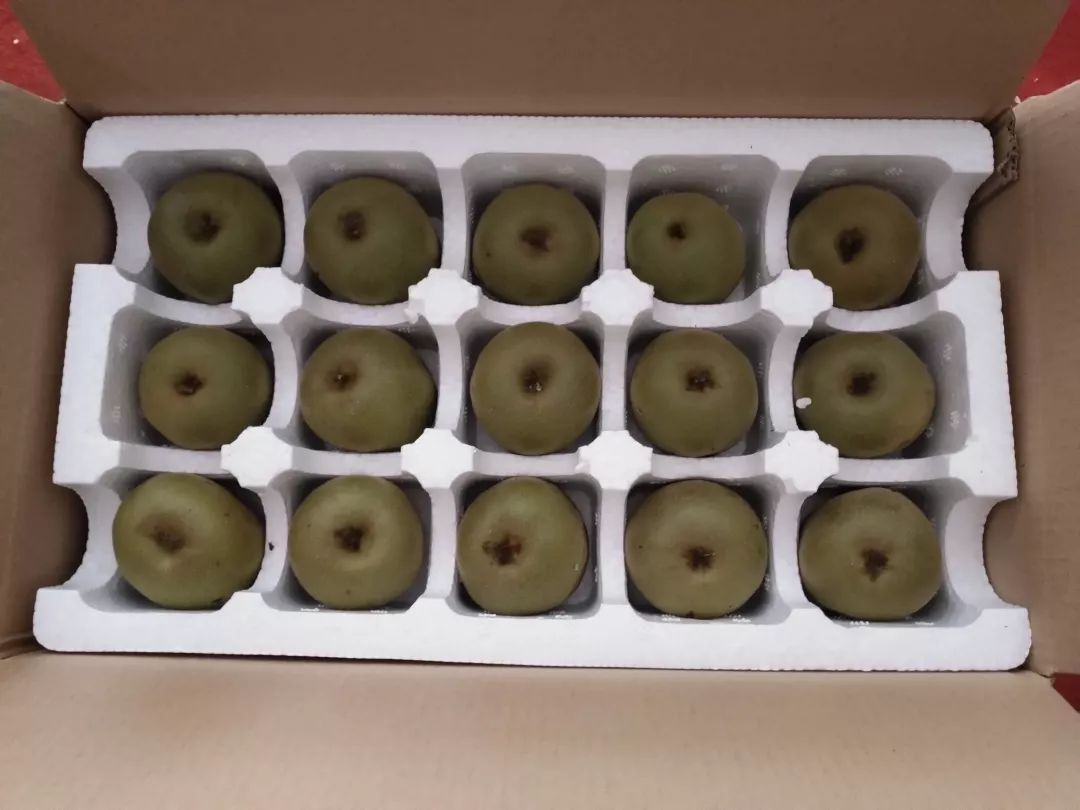 爱游戏（ayx）中国官方网站