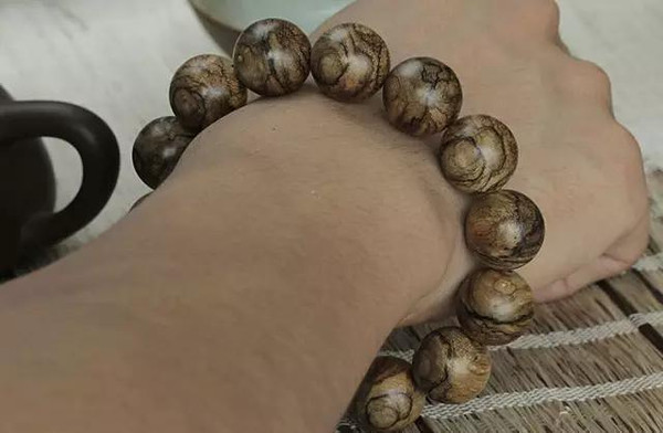 ayx官网_南安普顿有意阿尔卡塞尔