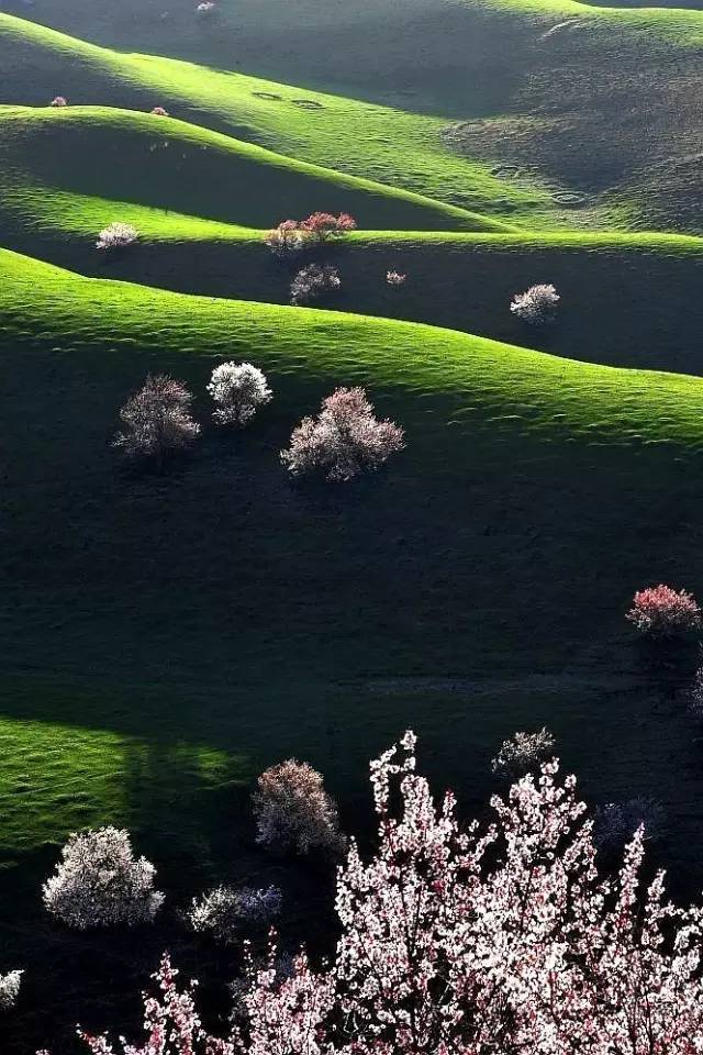 品牌生长史--喜力“ayx官方网站”