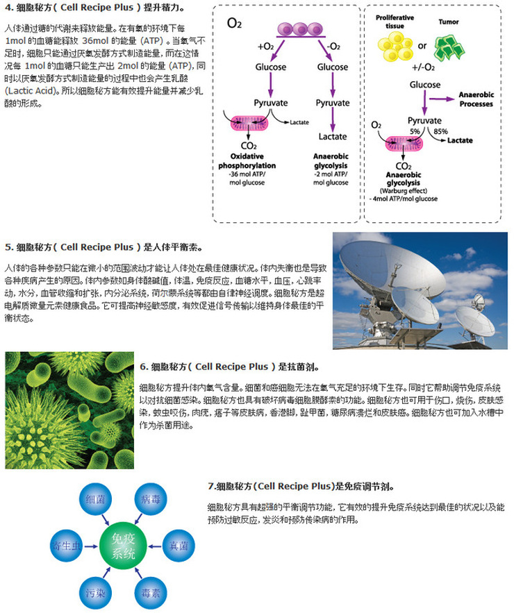 ayx官网-两个“一带一路”绿色生产力领跑者的共同愿景