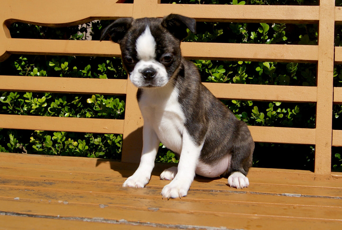 ayx官方网站-史英哲教授参加“首届年会暨长三角绿色金融一体化发展高峰会”