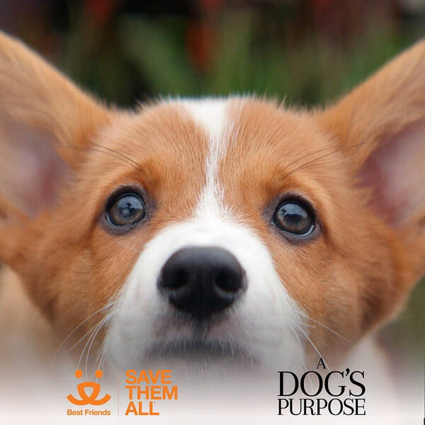 爱游戏（ayx）中国官方网站