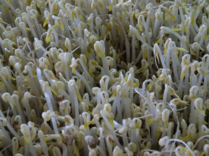 爱游戏（ayx）中国官方网站|西甲-马竞领跑积分榜 巴萨位居次席有望主场捧杯