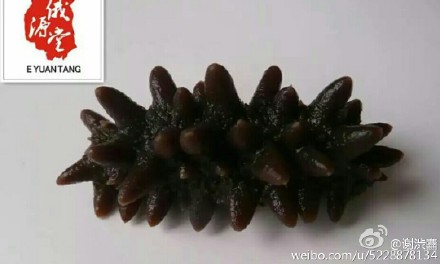 ayx官网:青岛申通一网点倒闭,快递积压成堆?快递员:快联系卖家退货(图2) ayx官方网站