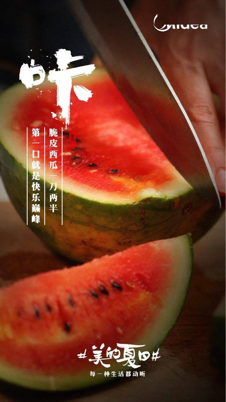 
一组自带BGM的听觉海报！-ayx官方网站(图16)