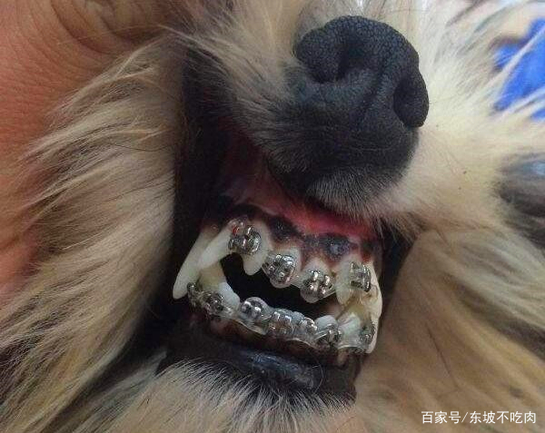 ayx官网：
近期欧冠球队及赛事快车集锦 德甲赛事焕发新生机！