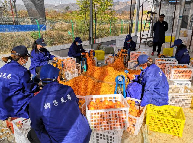 新加坡环保新措施 超市送条形码购物袋减塑“爱游戏（ayx）中国官方网站”