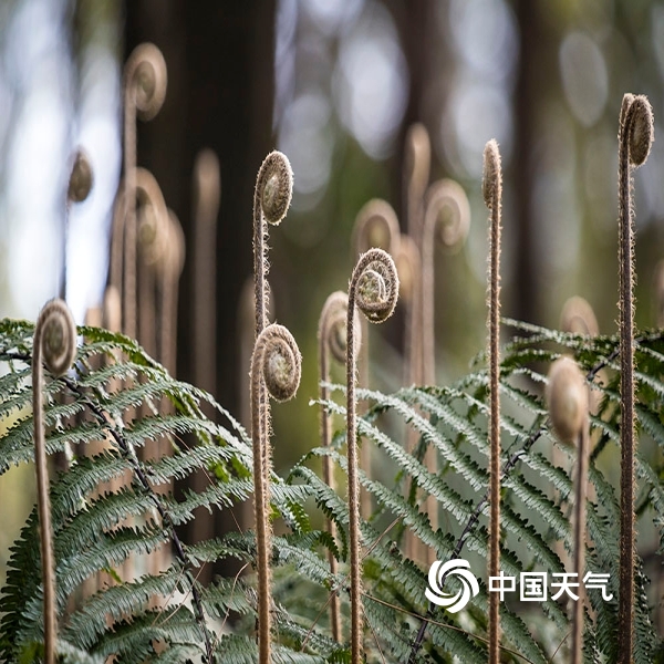 ‘ayx官网’
报废摩托销毁!摩托车报废年限何时取消?(图9) ayx官方网站