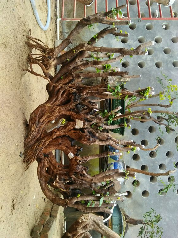 各地环保头条丨京津冀三地环保部门召开执法联动工作联席会议 共同打击跨区域环境违法问题_ayx官网