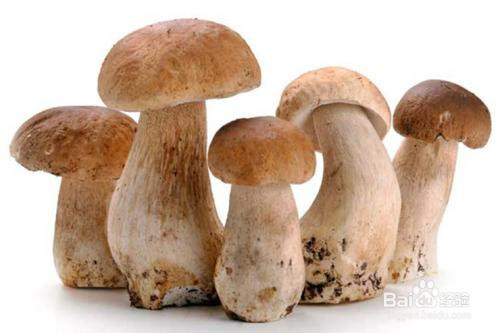 ayx官方网站_生态环境部在巴黎第二届和平论坛期间举办生物多样性保护圆桌会议