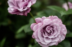 ‘ayx官网’吉林省公开中央环境保护督察整改方案