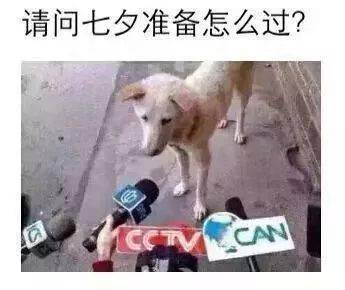 播音主持人的七夕表达方式【爱游戏(ayx)中国官方网站】(图3)
播音主持人的七夕表达方式【爱游戏(ayx)中国官方网站】(图3)