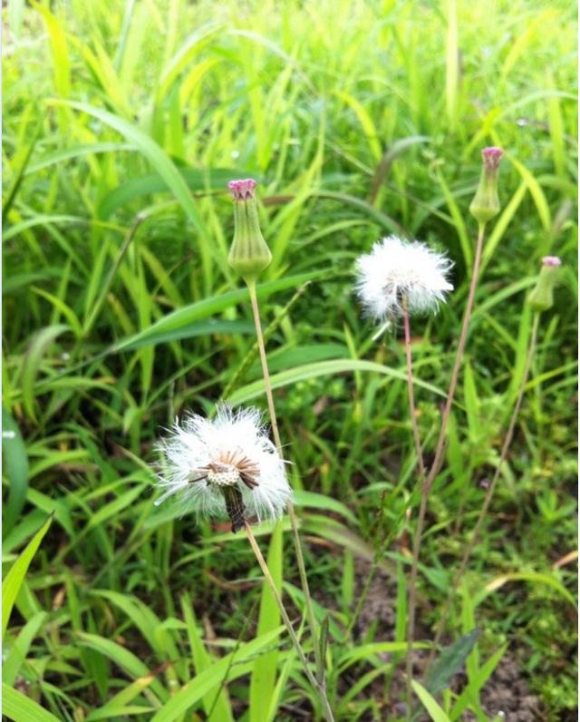 ayx官网:
黑店陨落!一场0-3彻底崩盘 狂赚2.2亿却从欧冠区掉入降级区(图2) ayx官网