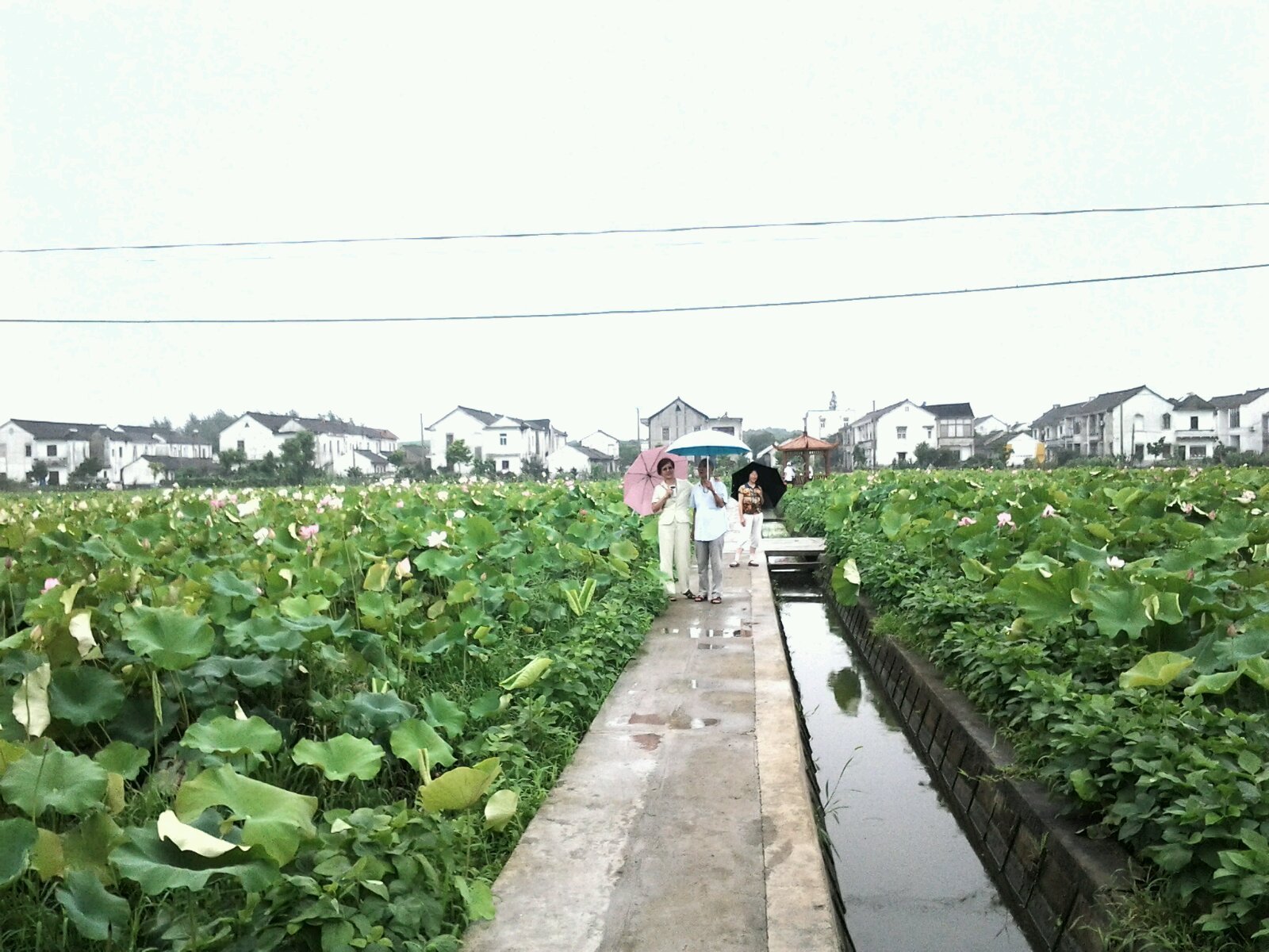 
中国人中平均身高最高的地域 曾是蚩尤的子女 有白人血统“ayx官方网站”