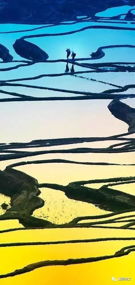 污水运营必知：何为“暗管偷排”？法律上认定标准是什么？“爱游戏（ayx）中国官方网站”