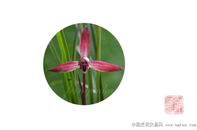 【爱游戏（ayx）中国官方网站】环保不作为慢作为将量化问责