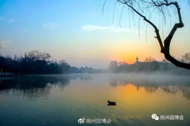 ayx官方网站：*
13年前这部被导演许诺“想象不到的搞笑剧” 效果剧中玉人都惨死